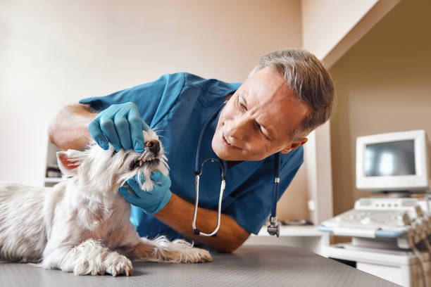 Best Urgent Dental Care in Brownwood, TX
